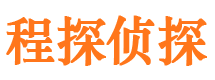 潮安市调查公司